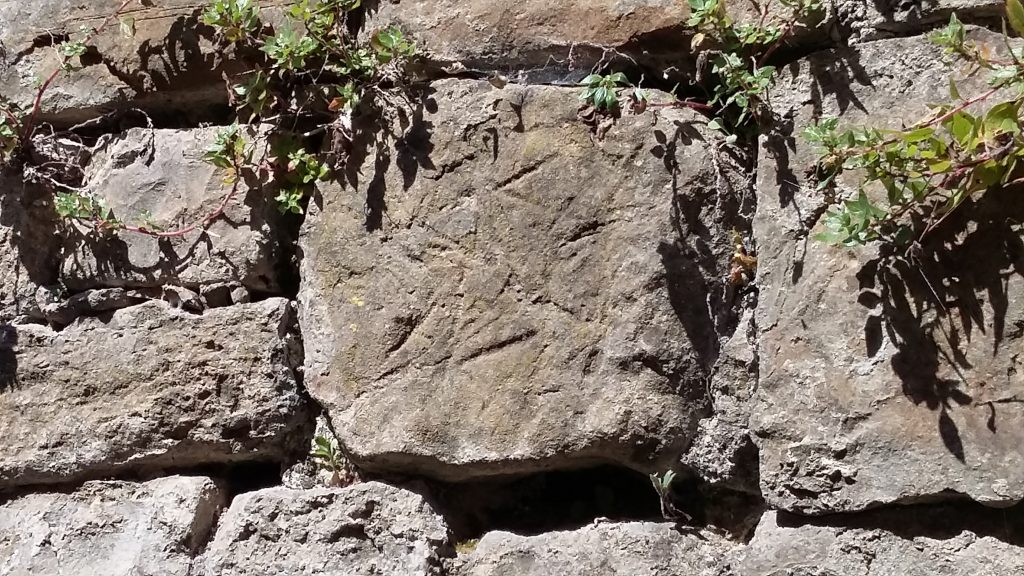 Kamen s urezima, autor fotografije: Đino Đivanović